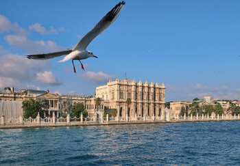 Почти 20 000 исторических зданий в Стамбуле могут пострадать в случае сильного землетрясения 