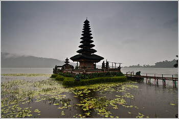 С острова Бали депортировали ещё четверых россиян