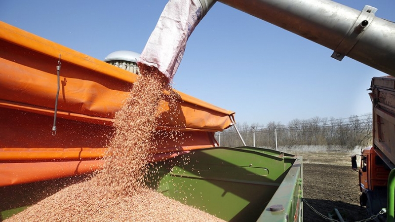 В России стартовала весенняя посевная кампания