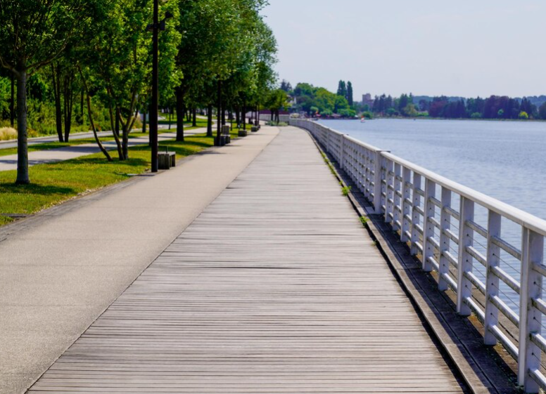 В Сестрорецке появится благоустроенная набережная рядом с парком Дубки