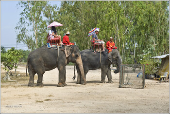 В Таиланде ужесточают борьбу с туристами-нарушителями закона 