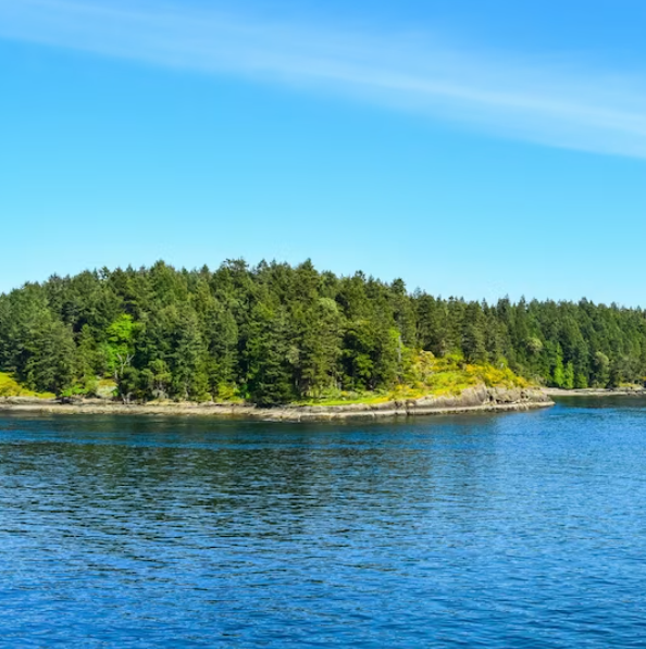 В Тамбове расчистят русло реки Цны за 420,6 млн