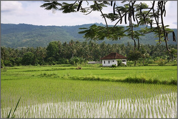 Власти Бали хотят отменить визы по прибытии для российских туристов