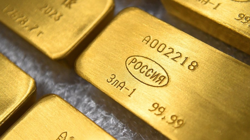 Аналитик объяснил рост объема международных резервов РФ