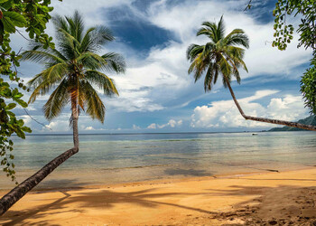 Индонезия в рамках отказа от Mastercard и Visa выпускает карту собственной платёжной системы КРР