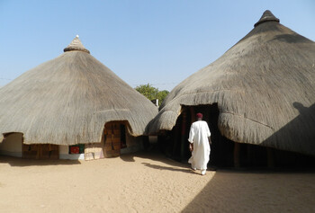 Камерун вводит электронные визы
