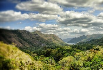 На Кубе перевернулся автобус с туристами из РФ