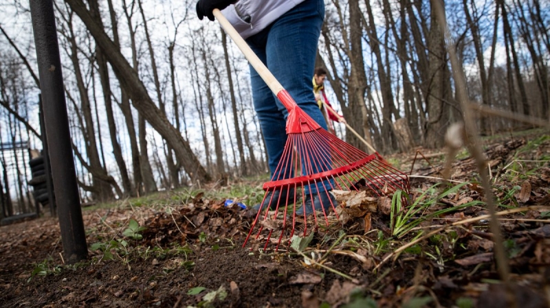 Подмосковье присоединится к Всероссийскому субботнику