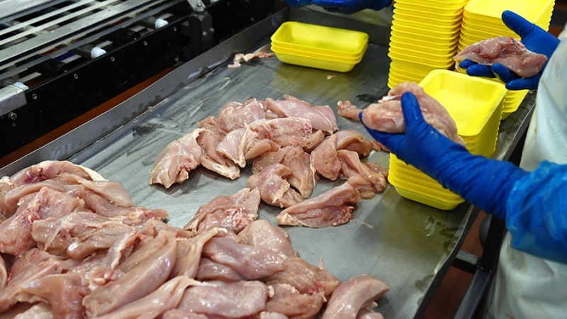 Ряд стран ЕС призвали временно запретить импорт молока и птицы с Украины