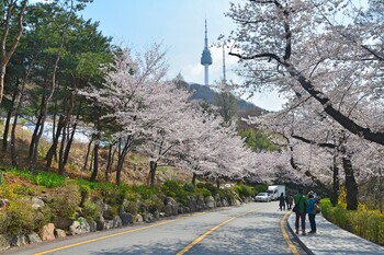 Россия лидирует по турпотоку в Южную Корею 