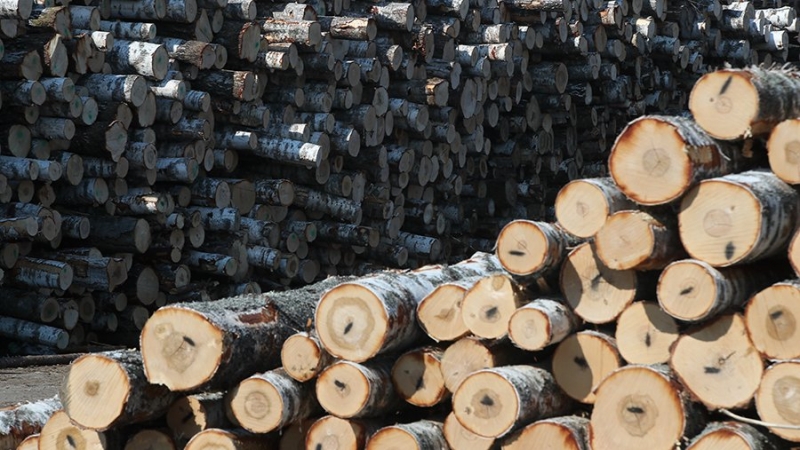 В России могут подорожать пиломатериалы
