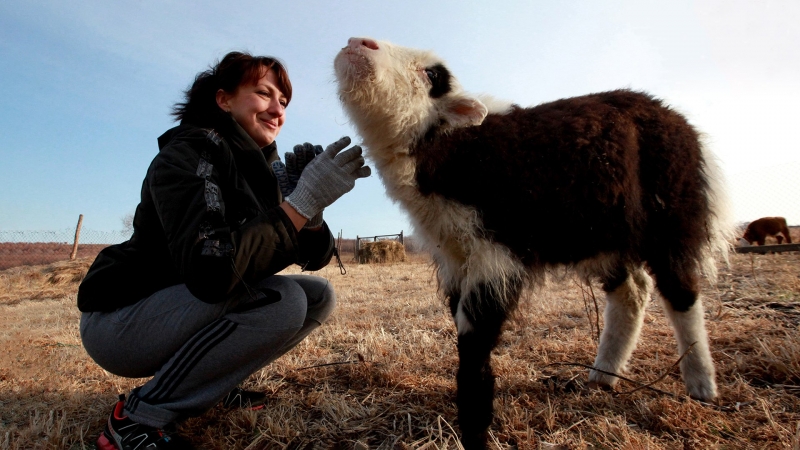 Загнать в укол: в Госдуме увидели риски дефицита препаратов для животных