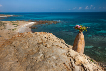 Экипаж пропавшей в Красном море российской яхты вышел на связь