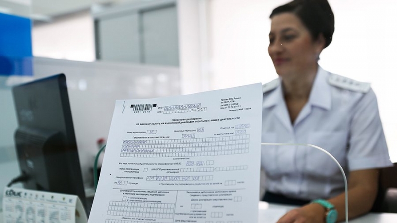 Эксперт рассказала о действиях для предпринимателей при выявлении налоговой недоимки
