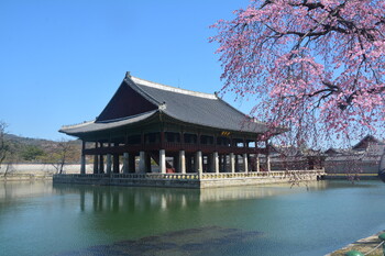 Южная Корея с 1 июня отменит все ковидные ограничения