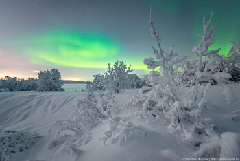 В Мурманской области дорога к Териберке закрыта из-за метели 