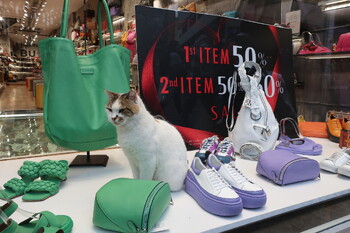 Власти Турции требуют четко указывать цены в магазинах на курортах 