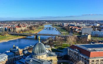 Вороны напали на прохожих в немецком Дрездене, есть пострадавшие
