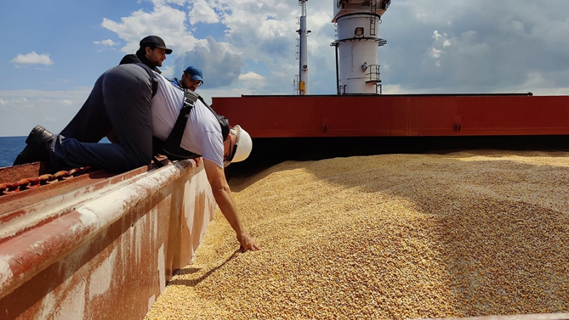Раунд консультаций между Россией и ООН по зерновой сделке пройдет 9 июня