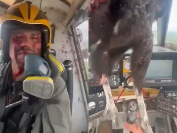 В Эквадоре большая птица протаранила лобовое стекло самолёта 