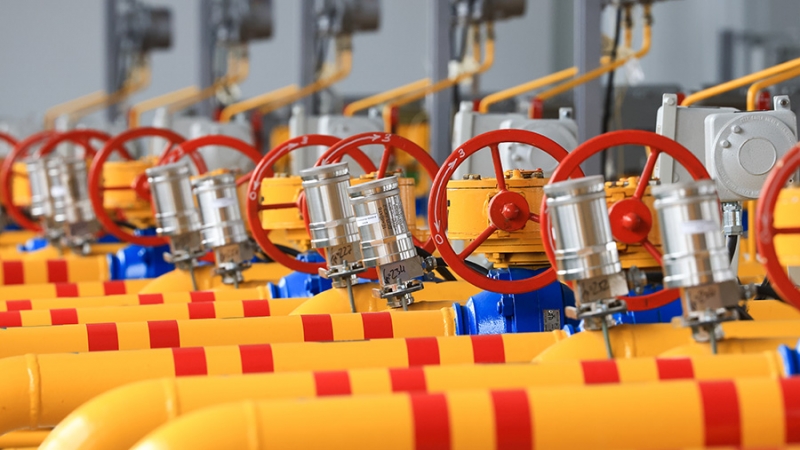 В Германии испугались остановки промышленности из-за прекращения транзита газа из РФ