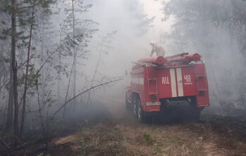 В Казахстане бушует сильный лесной пожар, 14 погибших  