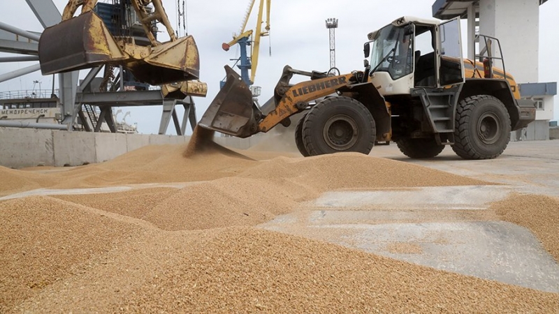 Глава Минсельхоза рассказал об экспортных планах РФ на следующий сельхозгод