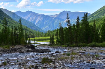 На Алтае в ДТП попал автобус с туристами, есть погибший 