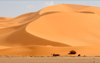 Россия будет работать над запуском прямых рейсов во все страны Африки