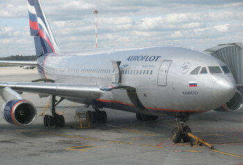 Самолёт экстренно сел в Новосибирске из-за столкновения с птицей