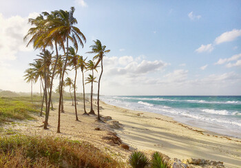 Самолёты из Минска могут полететь на Кубу