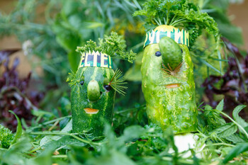 В Суздале пройдёт Праздник огурца