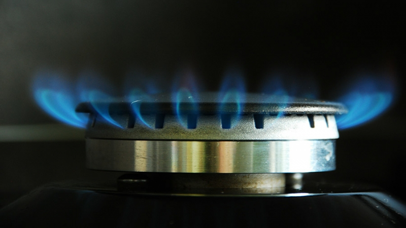 Аналитик рассказал о рисках для ФРГ в случае роста ежесуточного потребления газа