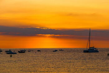 Июль этого года стал самым жарким месяцем в истории