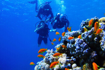 Многодетная мать из РФ пропала во время дайвинга в Хургаде