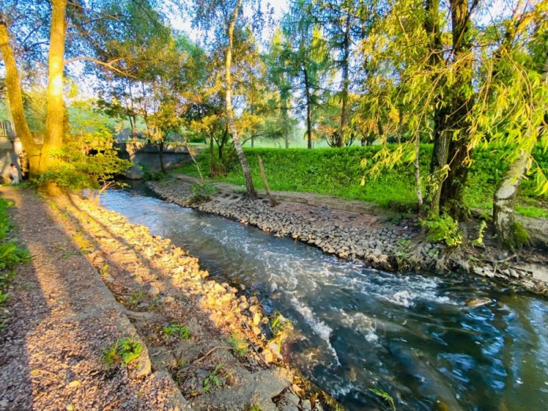Открывается для посещений Видновский лесопарк