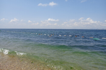 Пляж в окрестностях Стамбула закрыли из-за обнаружения 28 мин