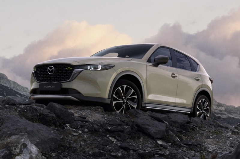 Повышение утильсбора приведёт к подорожанию машин в РФ: это затронет параллельный импорт