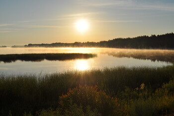 Страны Балтии и Польша могут закрыть границы с Белоруссией