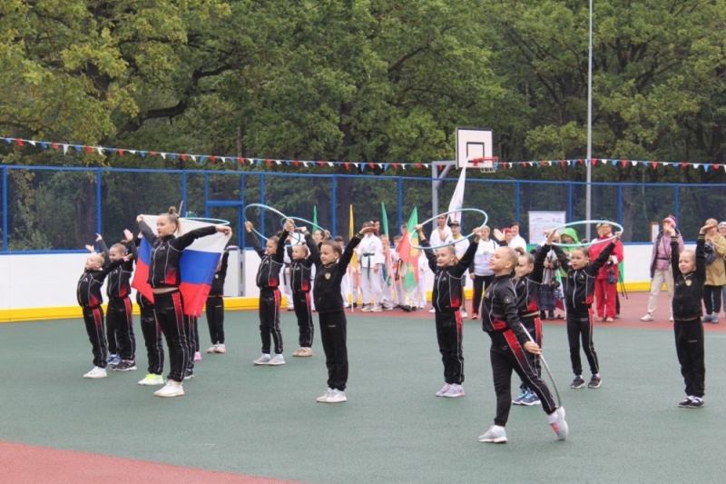 Строительство спортивной зоны завершилось в парке «Дубки»