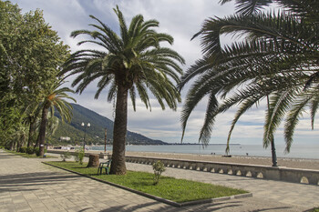 В Абхазии российские парапланеристы застряли на дереве