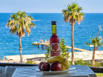 В РФ начали предлагать туры в Турцию с безалкогольным «всё включено»