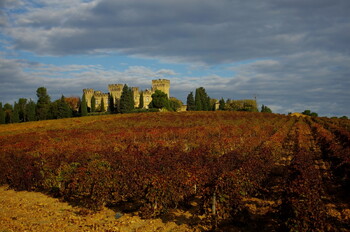 Во Франции из-за жары повысили  уровень метеоопасности 