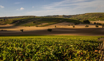 Во Франции ограничили использование воды