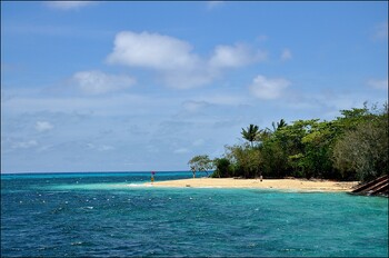 Акулы атаковали катамаран российской кругосветной экспедиции