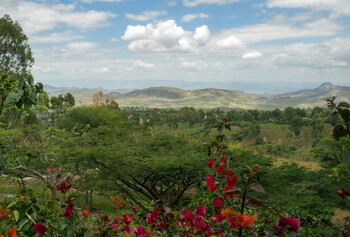 Эфиопия временно запретила авиапассажирам вывозить кофе