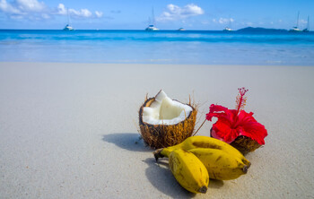 Казахстан и Сейшелы заключили соглашение о безвизовом режиме