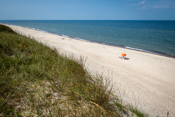 На пляжах Пионерского под Калининградом появились янтарные россыпи  