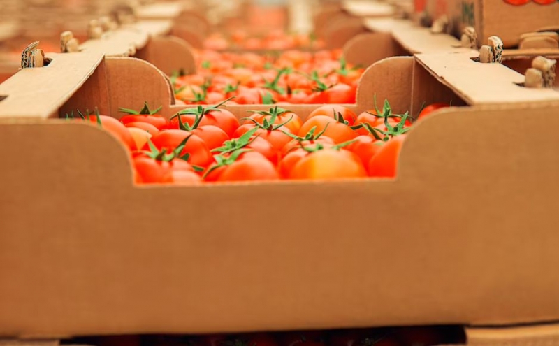 Овощехранилище вместимостью 8 тысяч тонн построят в городском округе Серебряные Пруды