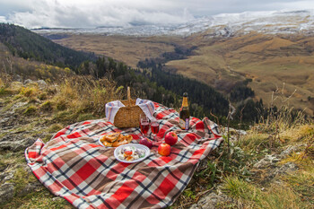 Первая безвизовая группа туристов из Ирана вскоре приедет в РФ 